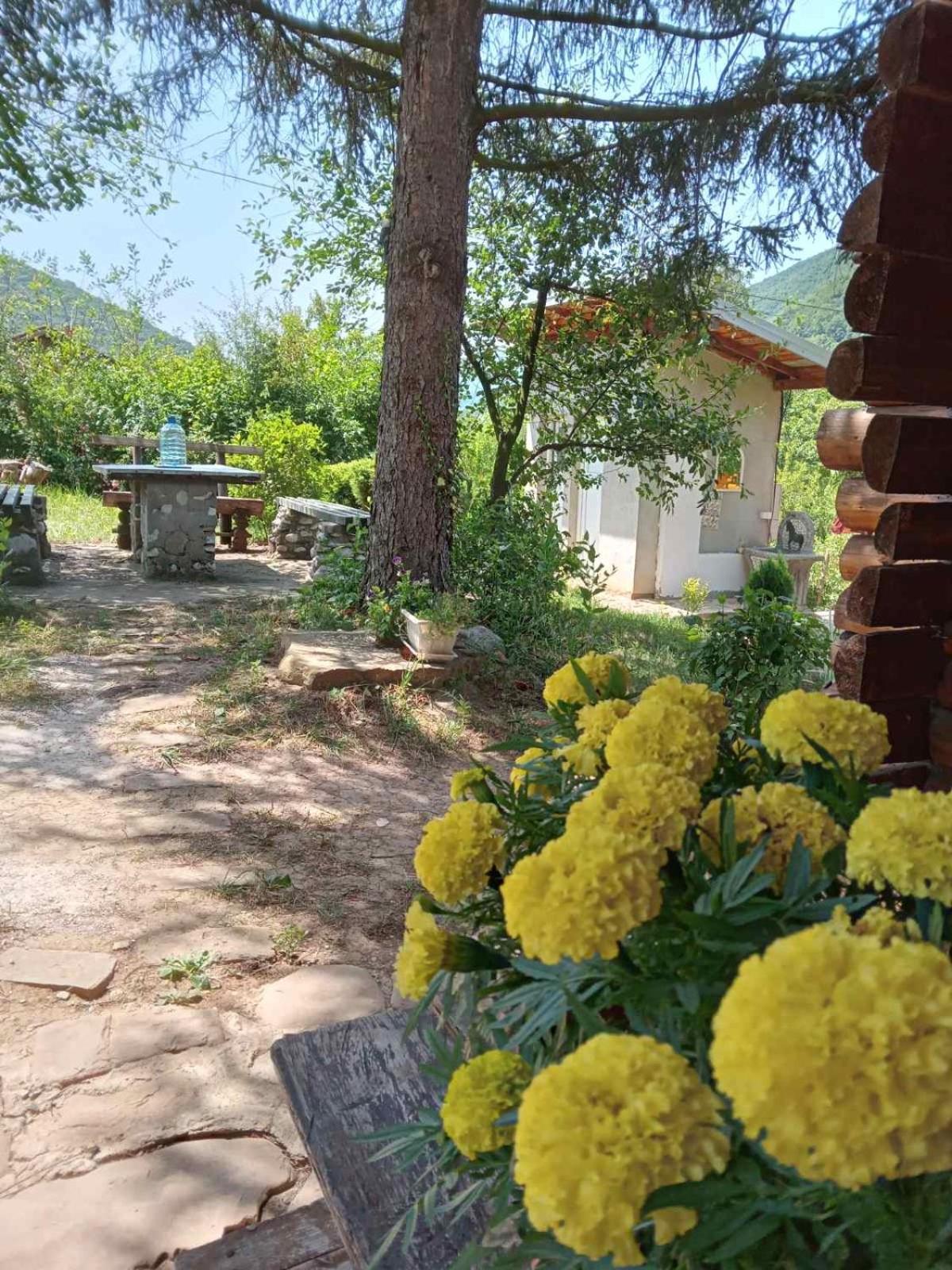 Villa Piramida Mjeseca Visoko Esterno foto